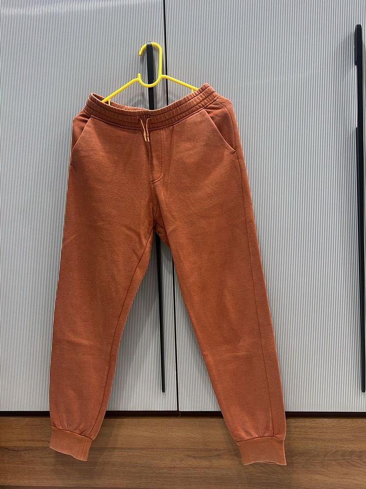 Casual Orange Pants