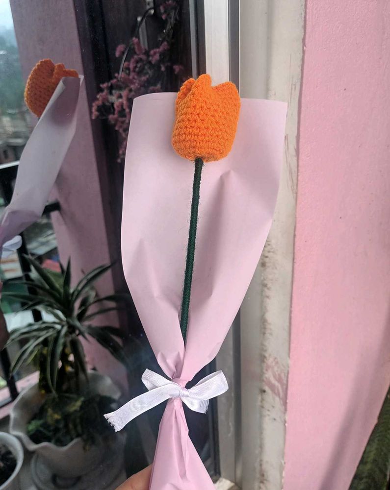 Single Tulip