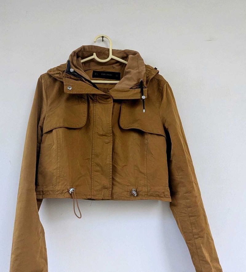Zara Basic Jacket