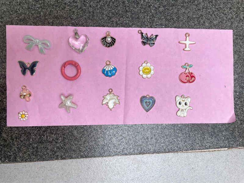 Assorted Charm Collection