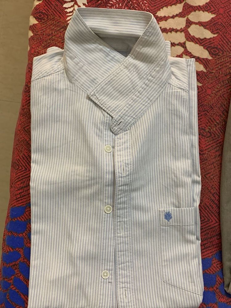 Striped Casual Shirt