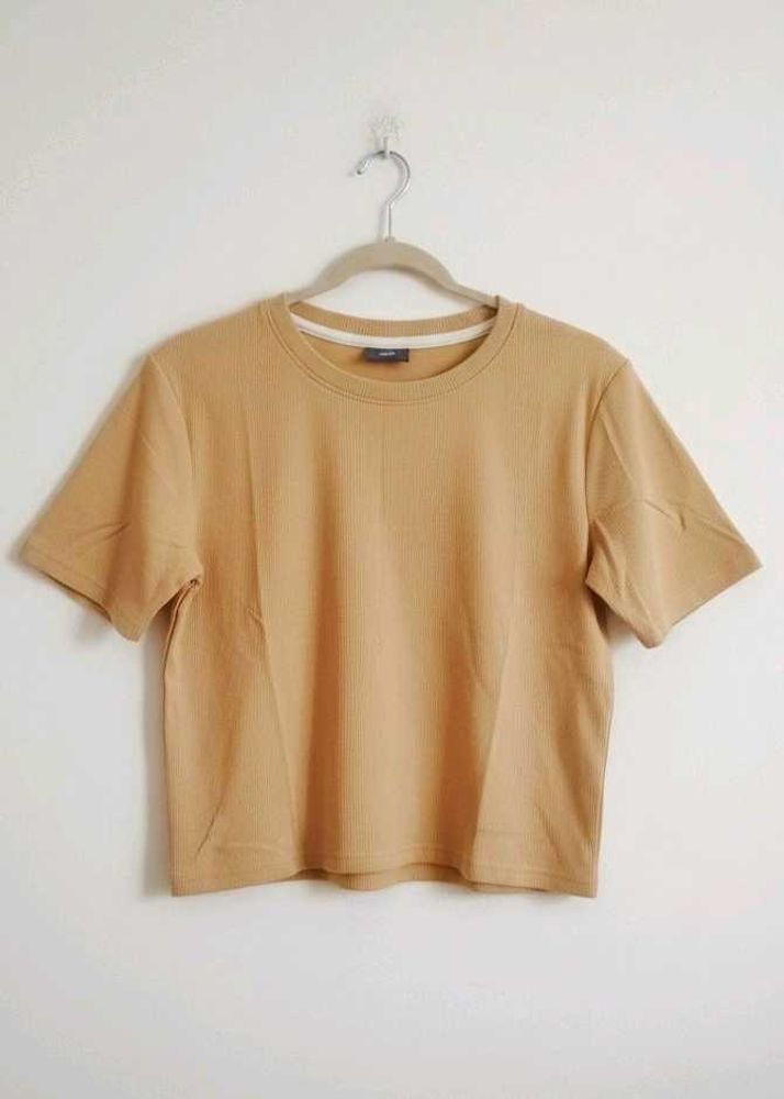 Tan T shirt for daily wear