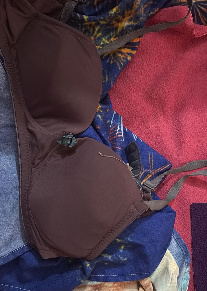 Comfortable Everyday