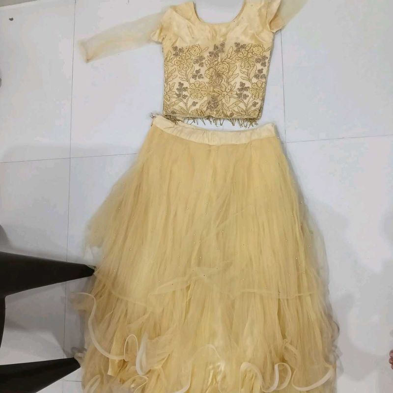 Elegant Lehenga Choli Set