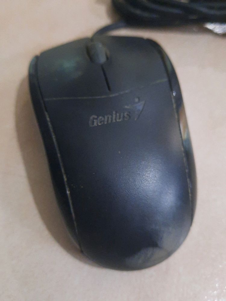 Computer Mouse