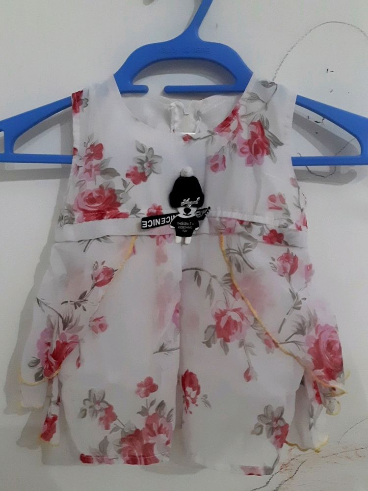 SIZE =2-3years