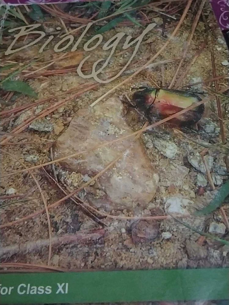 Ncert biology class 11 textbook