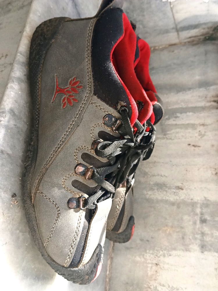 Woodland Shoes Copy 👞(men)