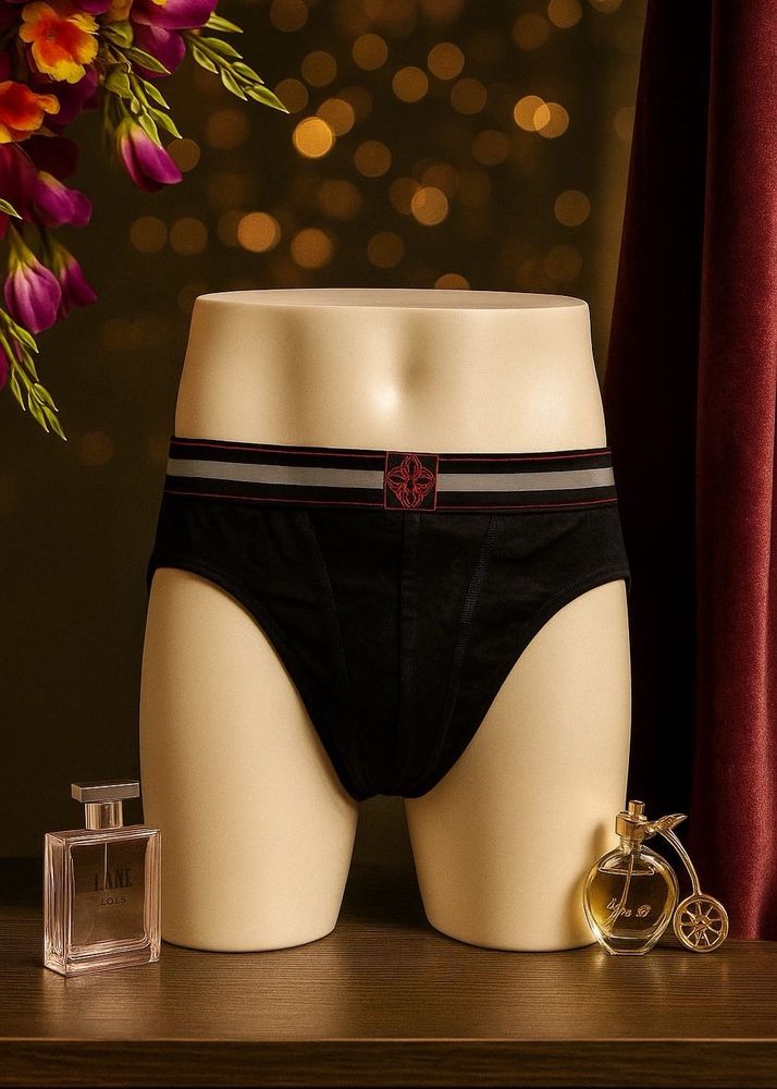 Stylish Black Briefs