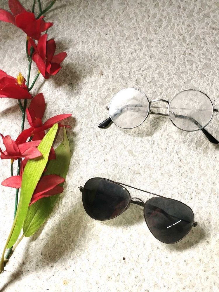 Modern Sunglasses