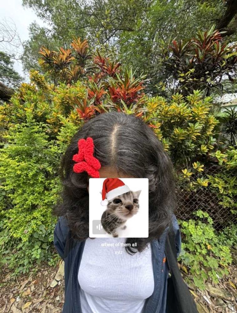 Crochet Angry Hair Clip