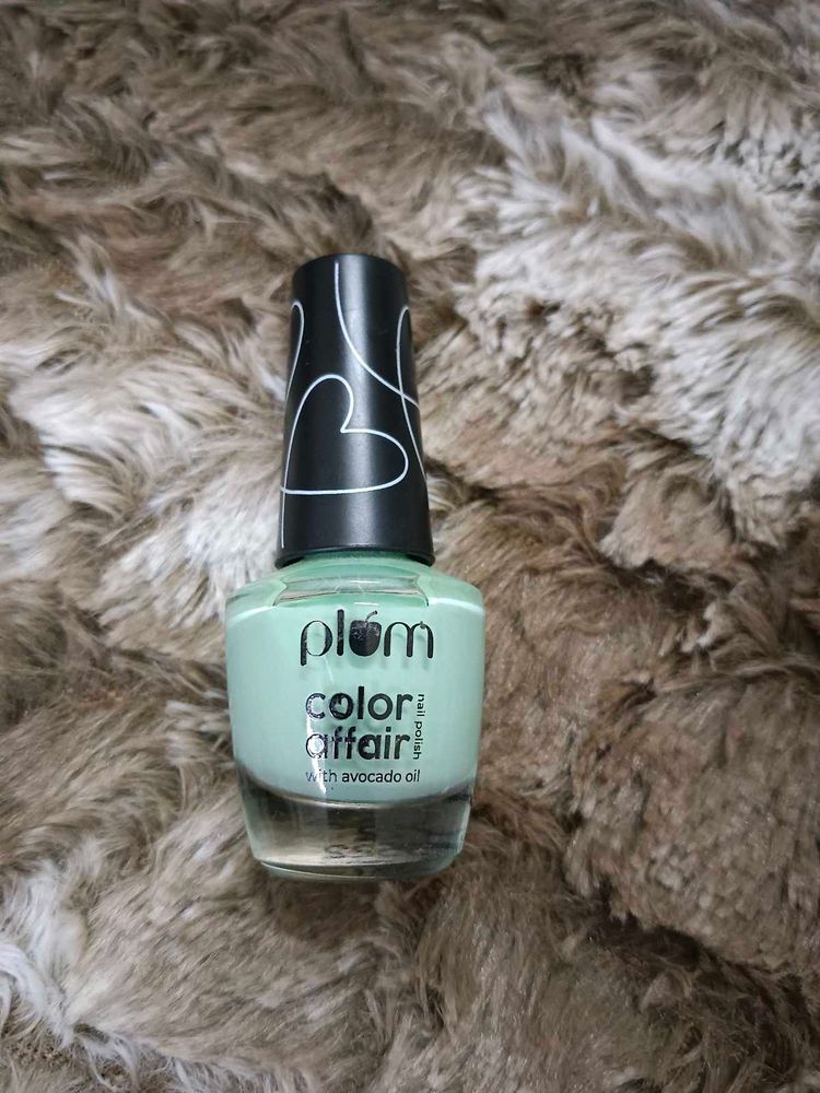 Plum Color Affair Nail Polish