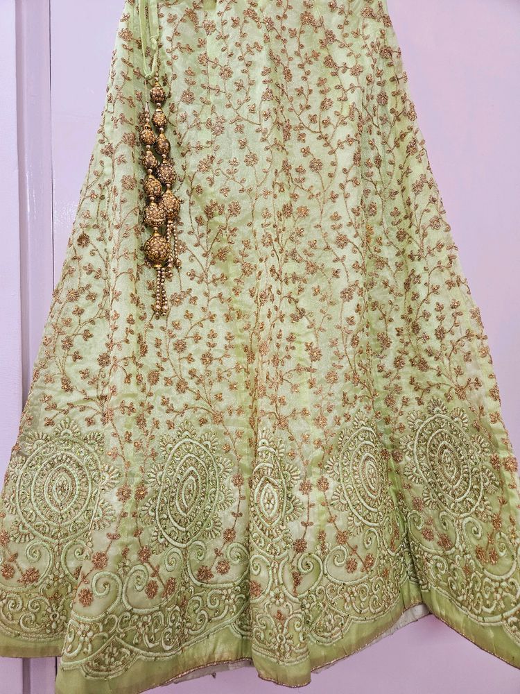 Pista Color Lehnga Choli