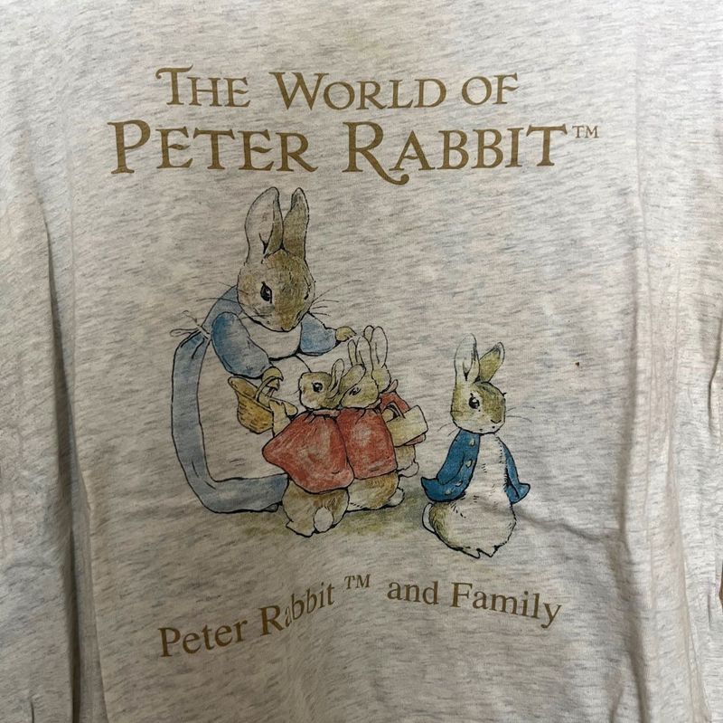 Charming &#34;The World of Peter Rabbit&#34; Grey T-Shirt