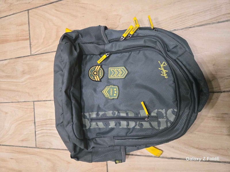 Light Weight Skybags Backpack