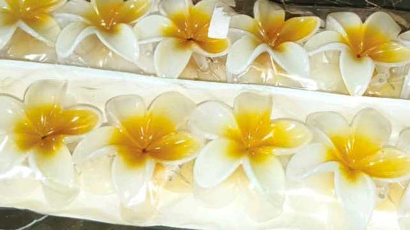 Frangipani Hair Clip (pack of 12)