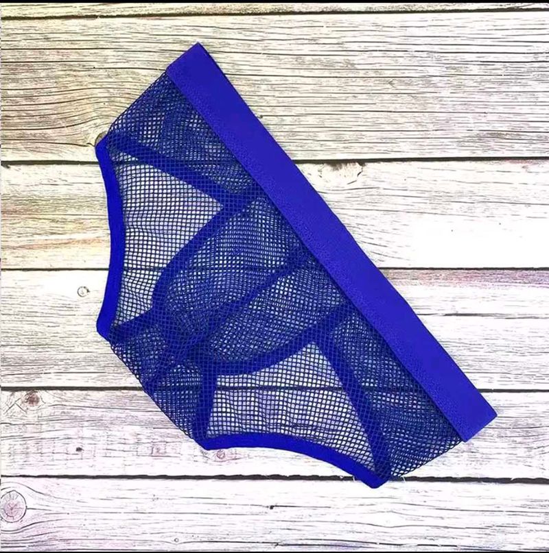 Men&#39;s Blue Mesh Large Fishnet Briefs.