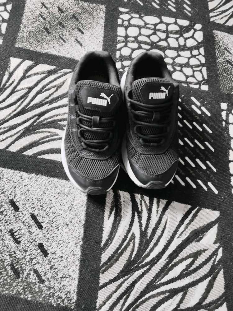 Puma X Ray