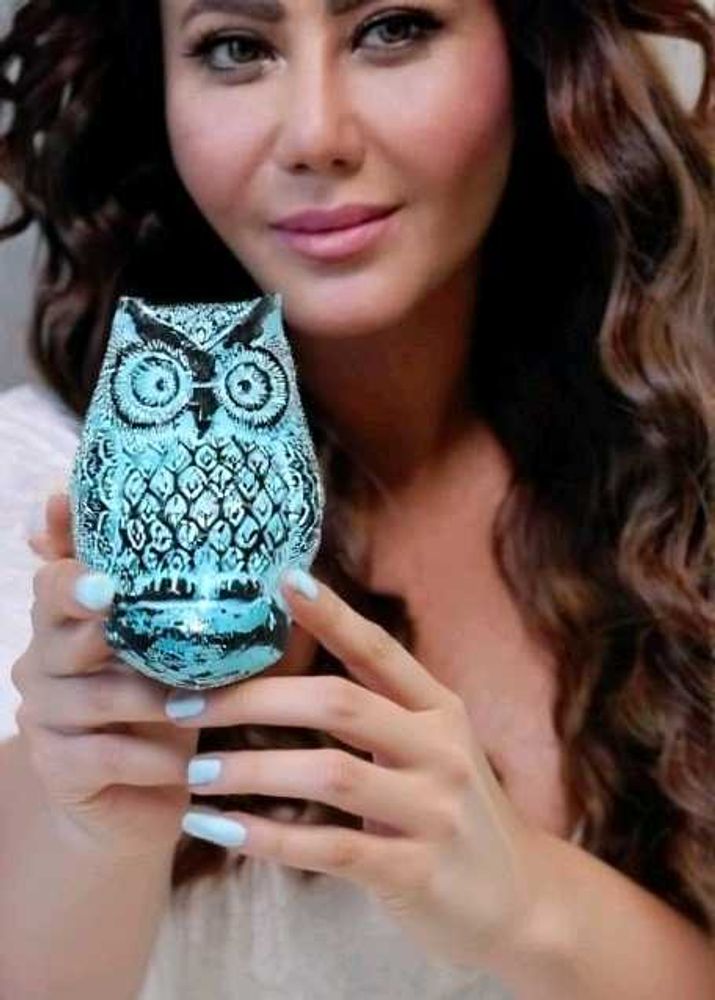 Antique Owl Door Knocker