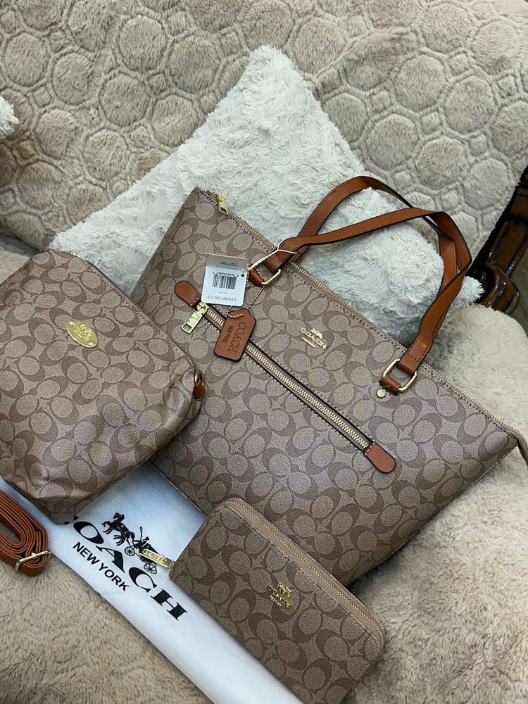 Combo- COACH 3 Pcs