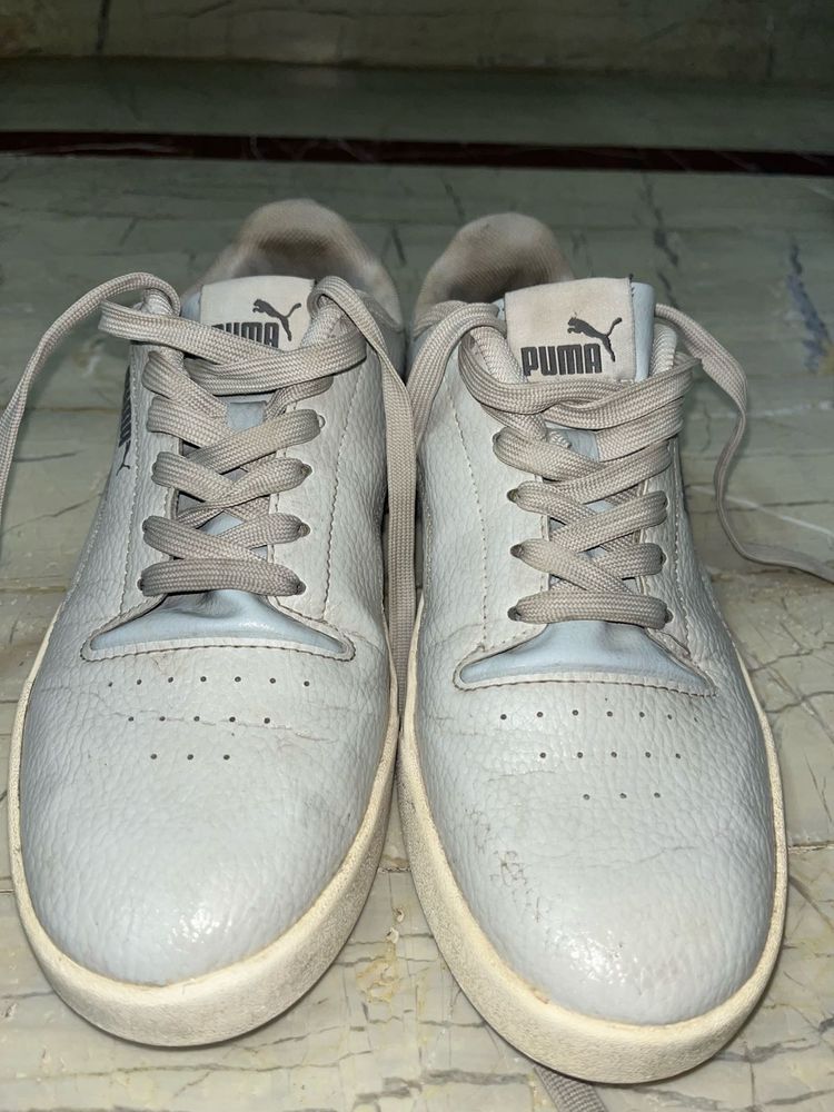 Puma Original Grey Sneaker