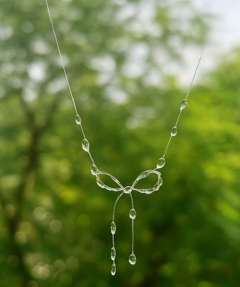 Rain Drop Necklace