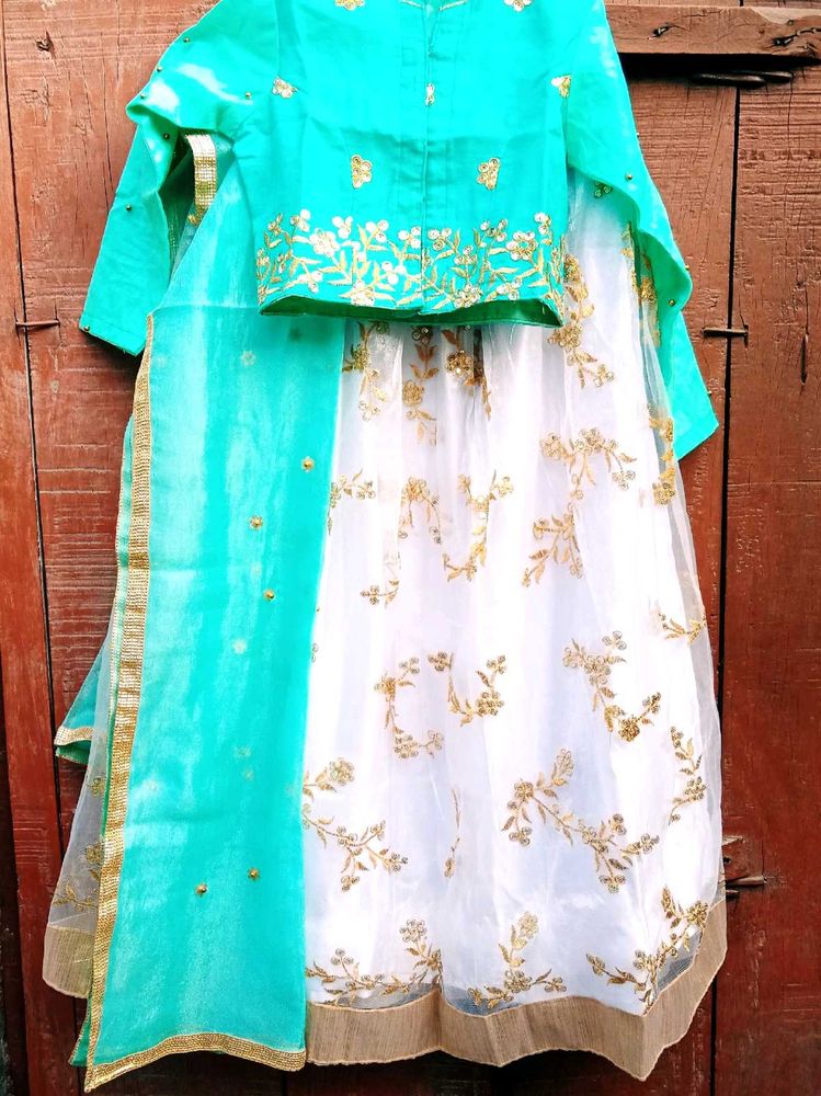 Brand New Girls Lehenga Choli Set