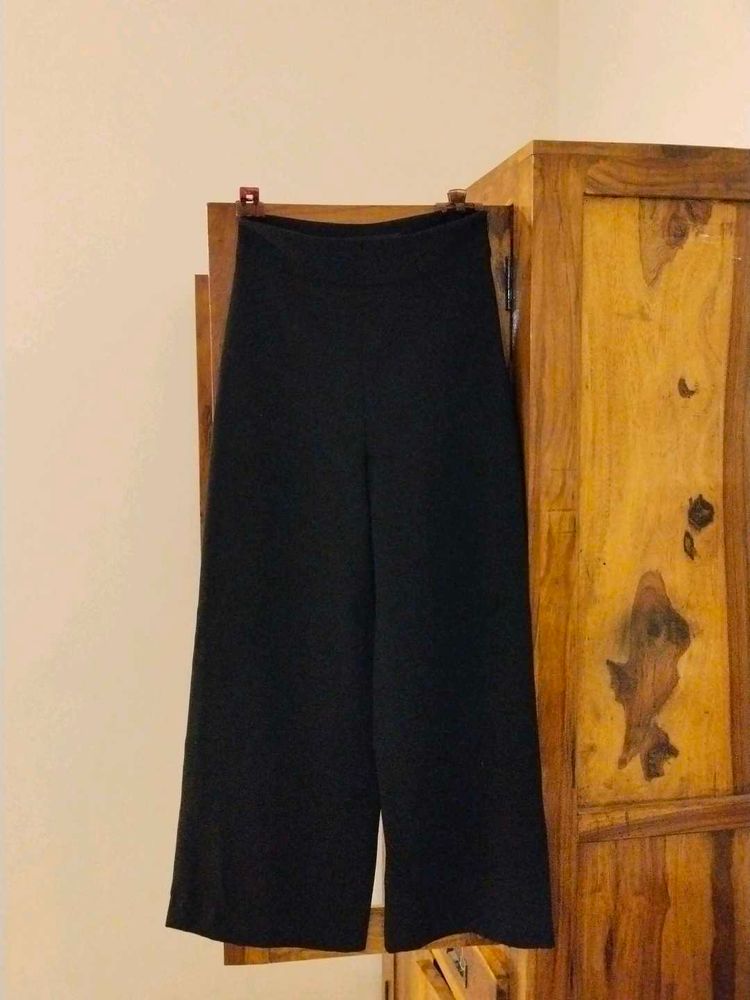 Zara Black Plazo -