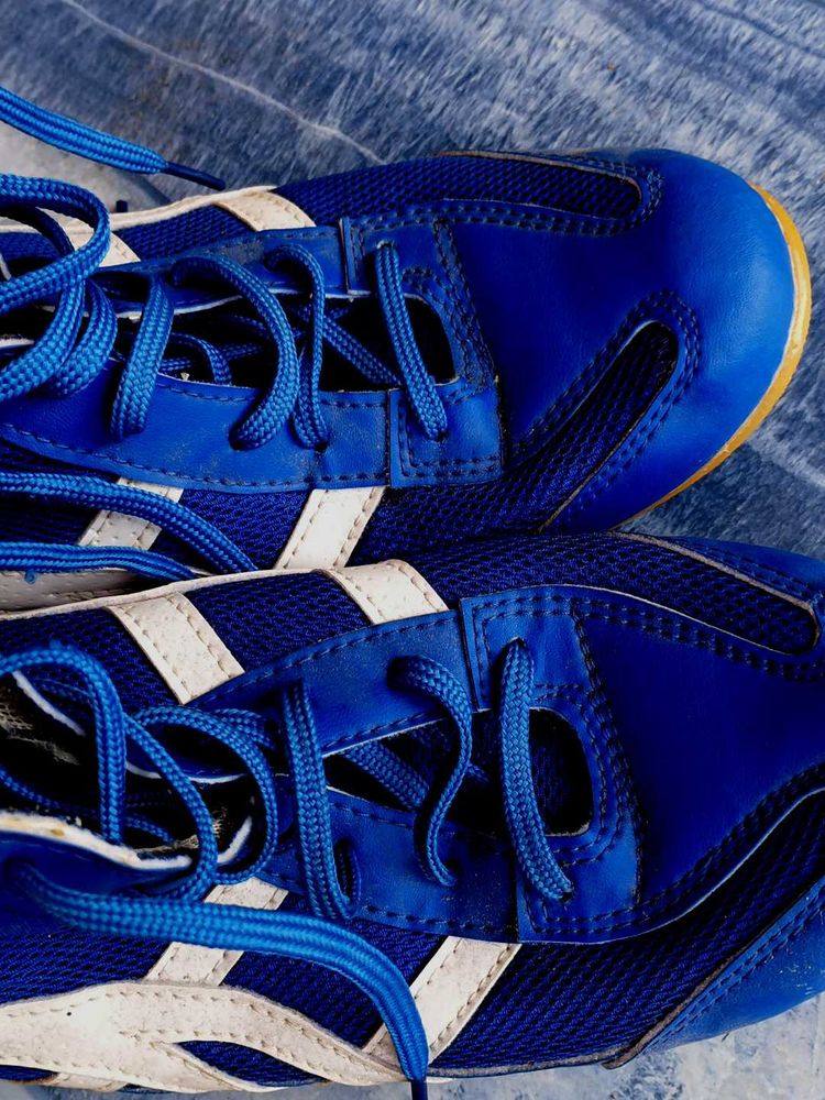 Blue &amp; White Sports Shoes
