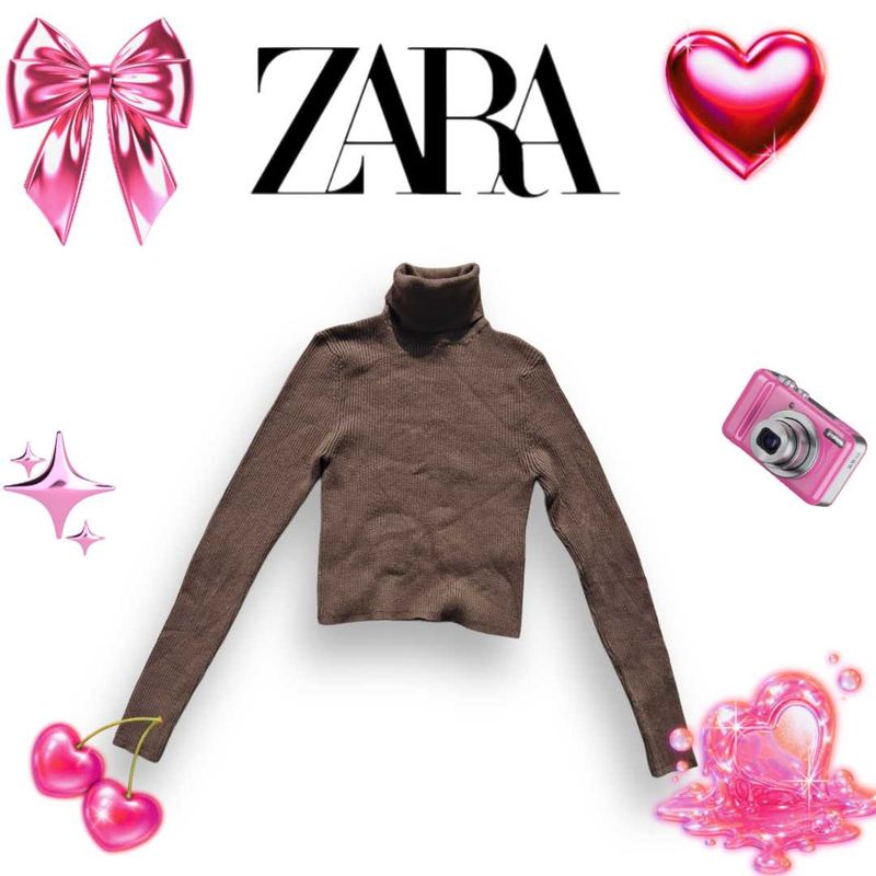 Zara Brown Turtleneck Top