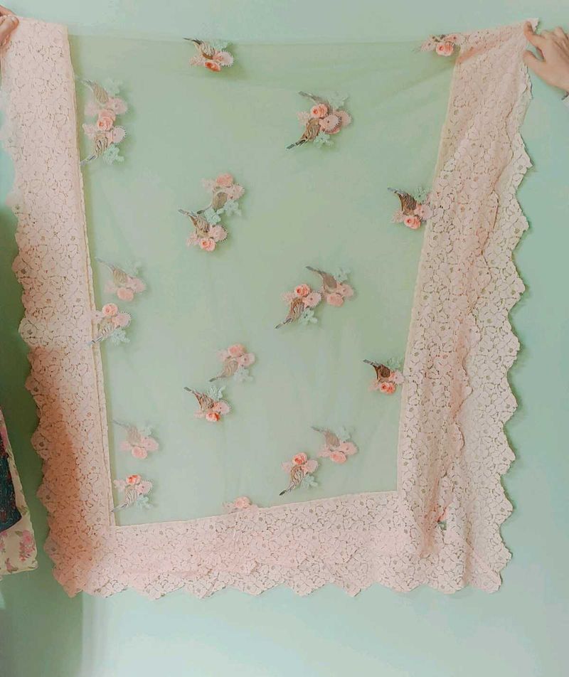 Price Drop. Gorgeous Dupatta 🕊️✨