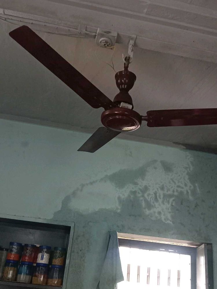Ceiling Fan - Home Essential