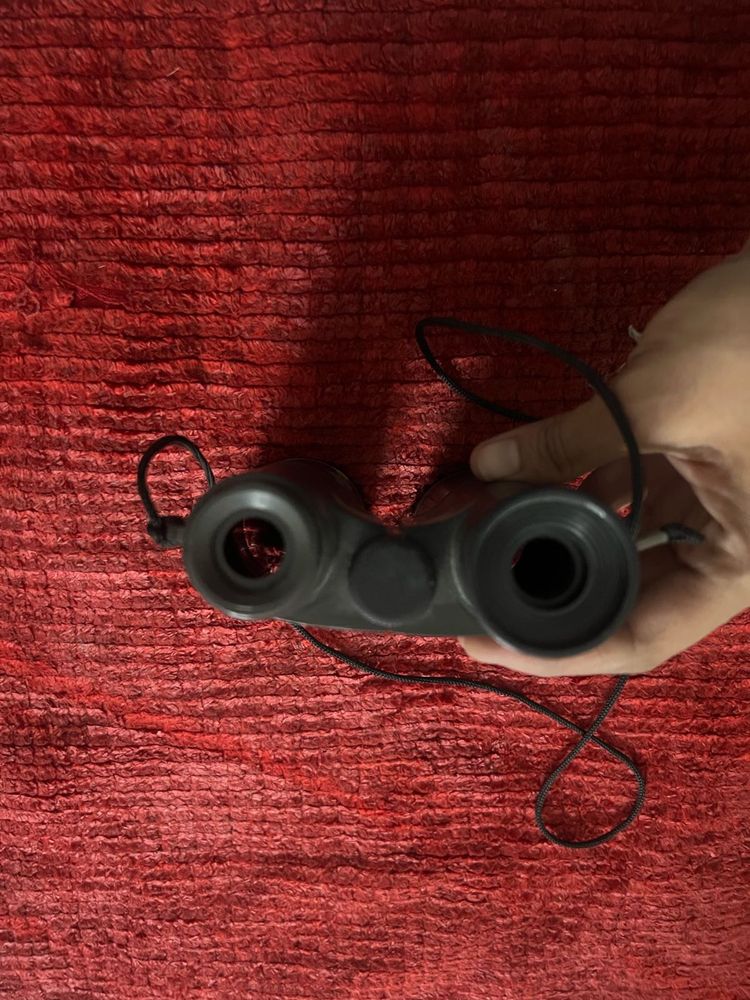 Vintage Binoculars