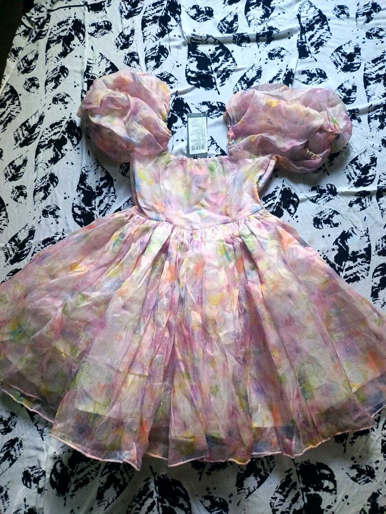 Organza Puff Sleeve Mini Dress