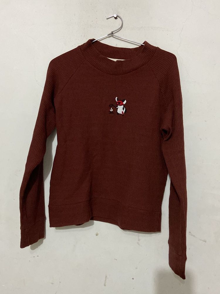 Brown Sweater T Shirt For Women