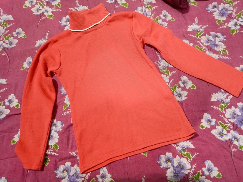 Florescent Sweater With High Neck