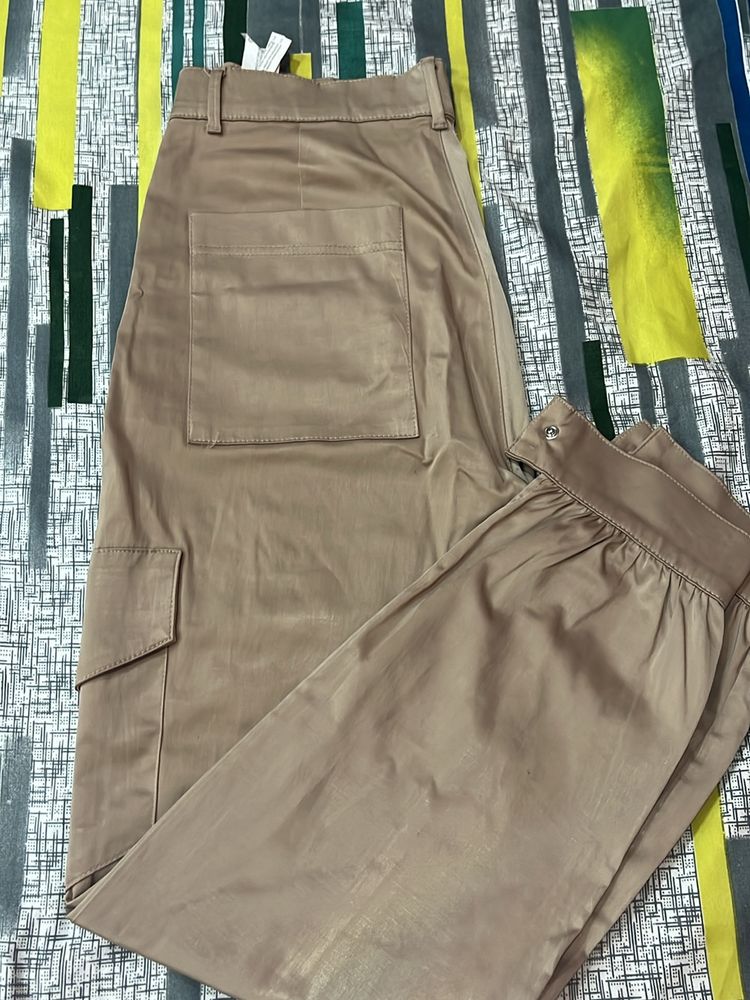 Zara Cargo Pants In Satin Finish