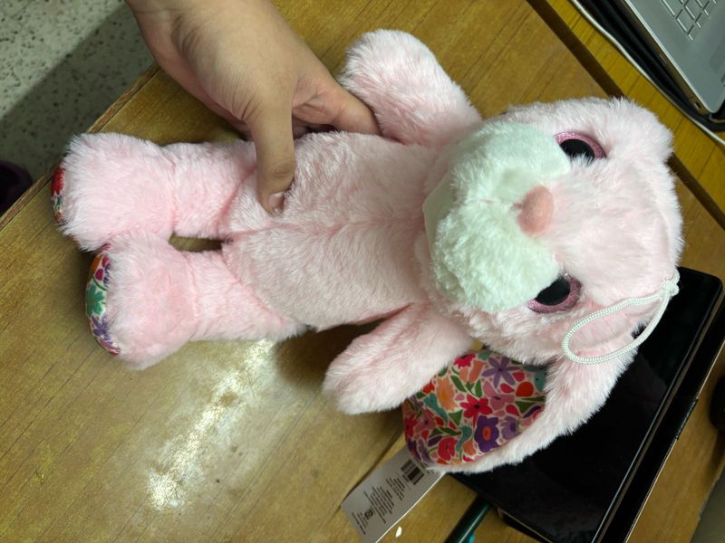 Brand New Bunny Toy With Pen
