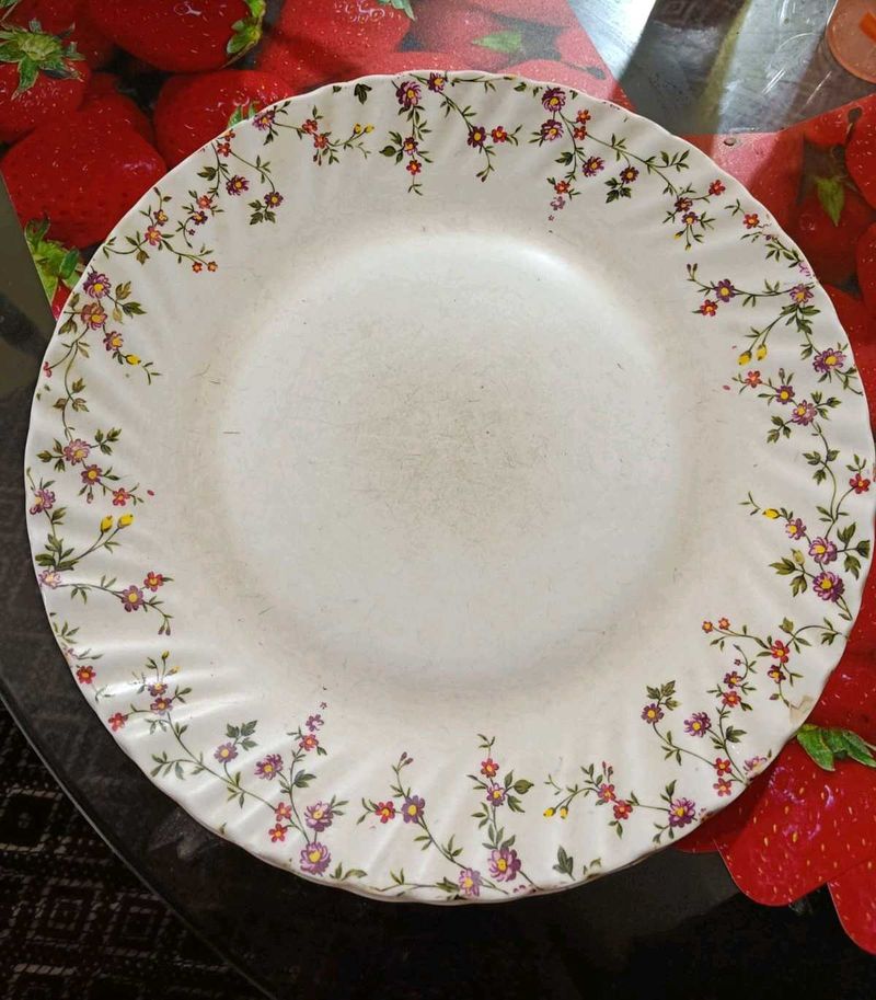 Dinner Plate 5 Pieces