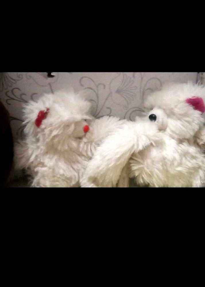 Cute Stuffed Animals