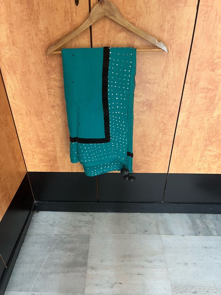 New Pashmina Embellished Shawl