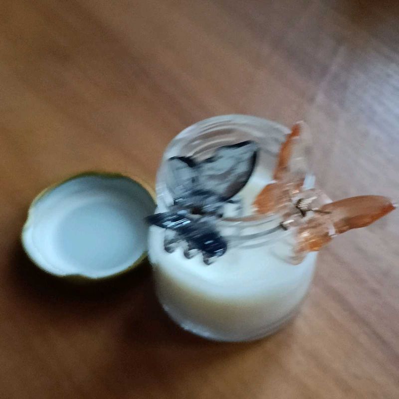 Vanilla Candle With Free Butterfly Clips