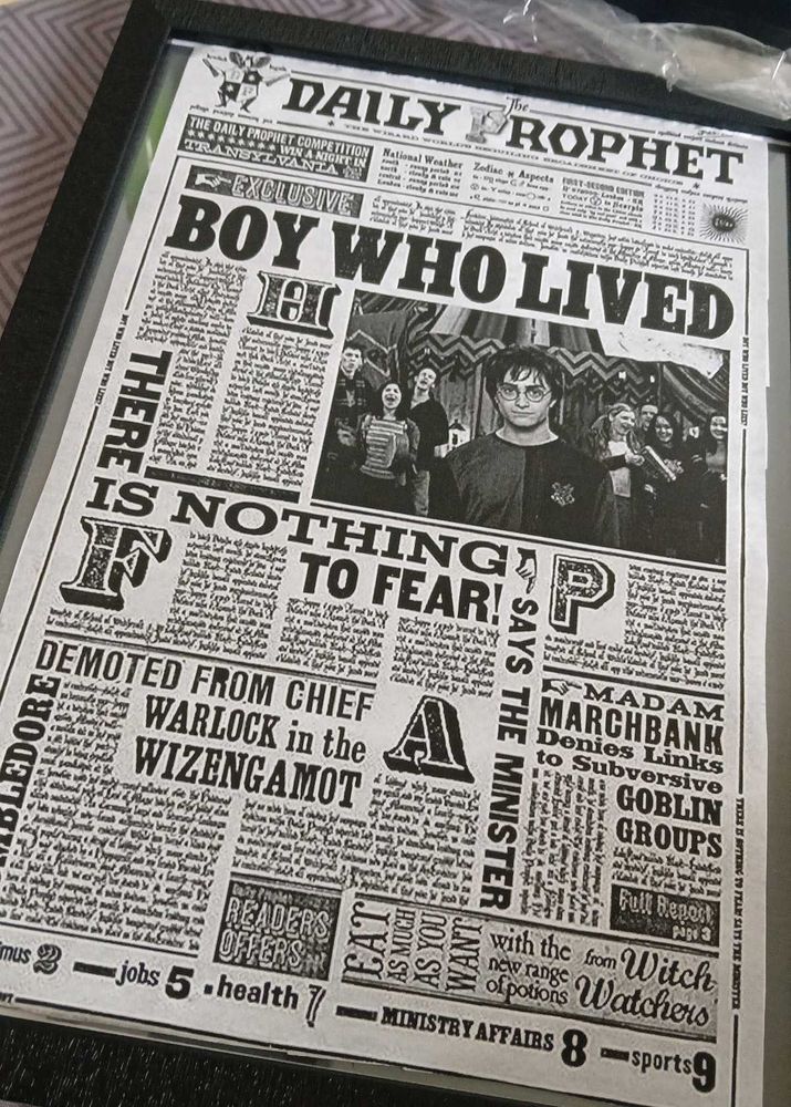 Harry Potter Daily Prophet Framed
