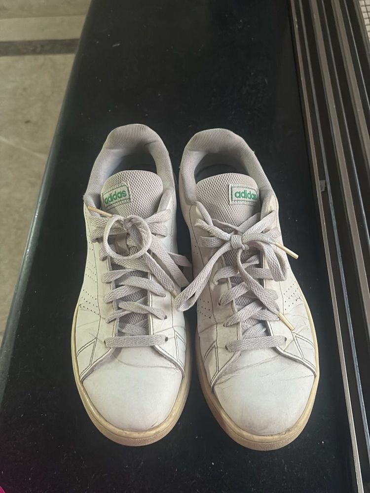 Addidas White Sneakers.