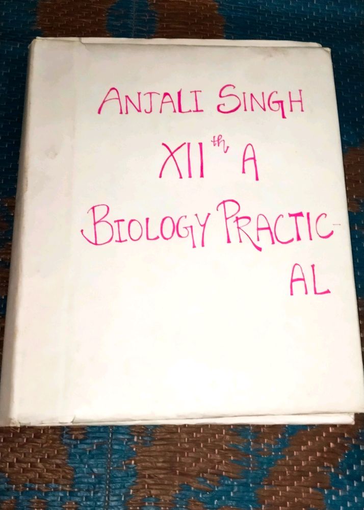 Class 12th Biology Practical File Complete