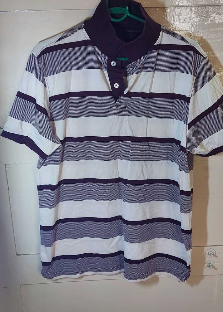 Polo T Shirt Men