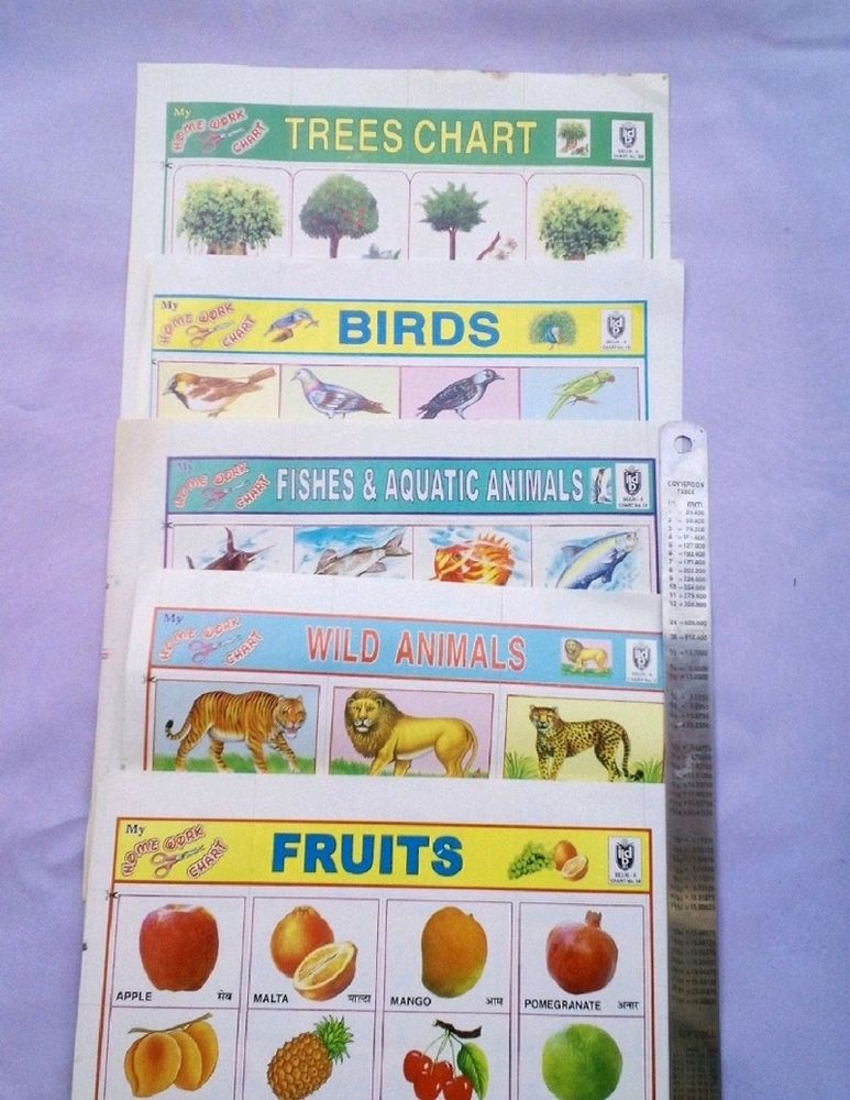 School Project Sticker