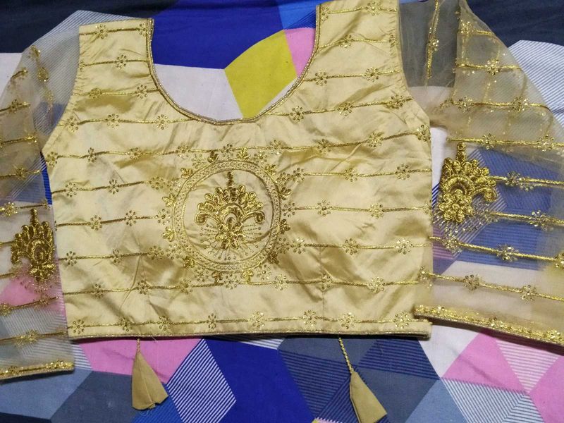 Golden Embroidered Blouse back open