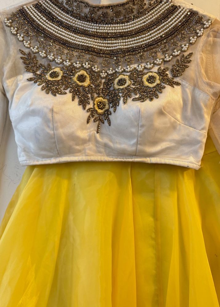 Embroidered Lehenga Choli