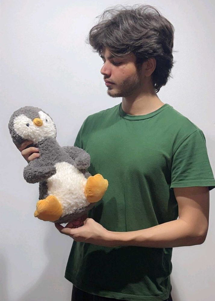 Adorable Plush Penguin - Ready for a New Home!